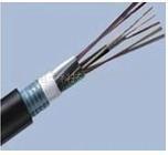 西安光纤电缆供应概览 长飞、亨通、烽火、中天、通鼎、富通六大品牌全解析