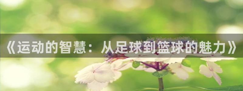 v66体育平台是正规的吗