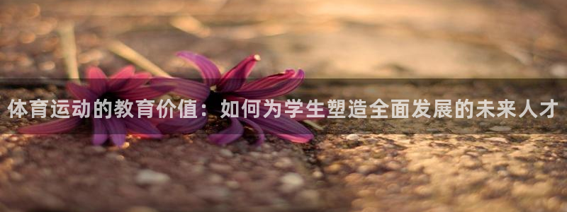 v66体育平台正规吗可靠吗：体育运动的教育价值：如何为学生塑造全面发展的未来人才