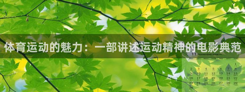 v66体育平台安全吗：体育运动的魅力：一部讲述运动精神的电影典范