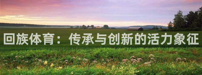 v66体育平台是正规的吗：回族体育：传承与创新的活力象征