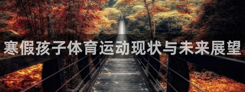 v66体育彩票平台能提现吗
