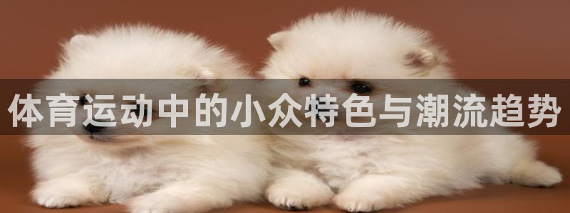 v66体育官网入口