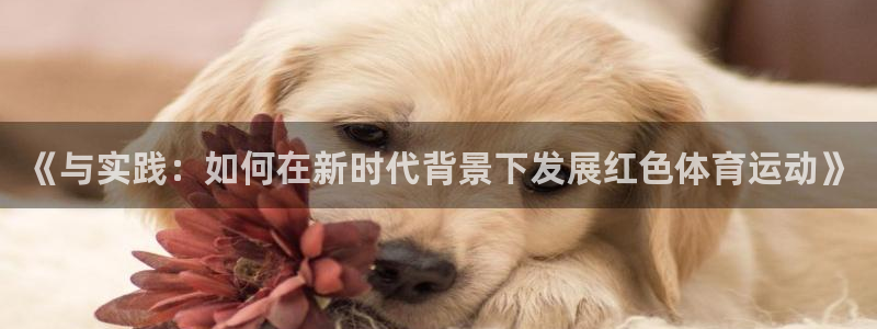 v66体育平台正规吗可靠吗